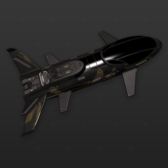 Beluga Liner Asemic Gold & Black
